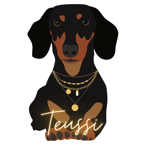 Teussi